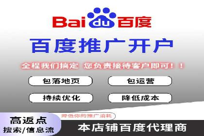 百度竞价公司运营策略：成功案例解析